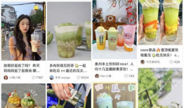 娱乐圈吃瓜公众号起名